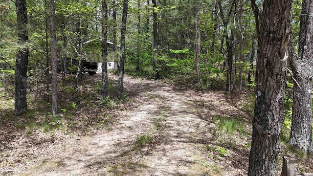 W1829 Broken Bow Rd, Keshena, WI 54135 - view of dirt / gravel driveway featuring a forest view