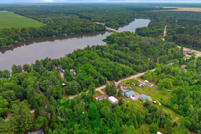 1163 Chicago Ln, Friendship, WI 53934 - aerial view of property and surrounding area with a heavily wooded area and a nearby body of water