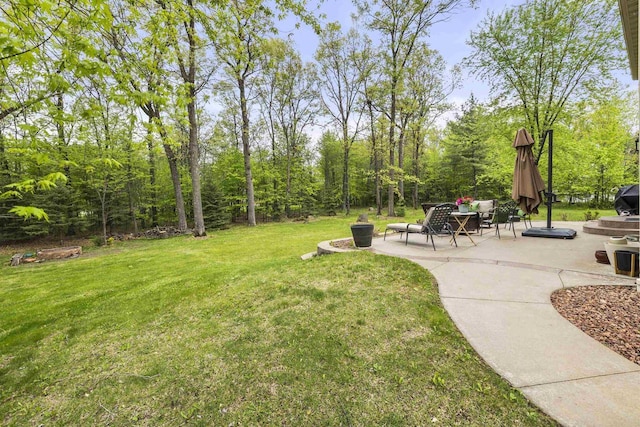 4700 Beaver Dam Rd, Stevens Point, WI 54482 - view of grassy yard featuring a patio area