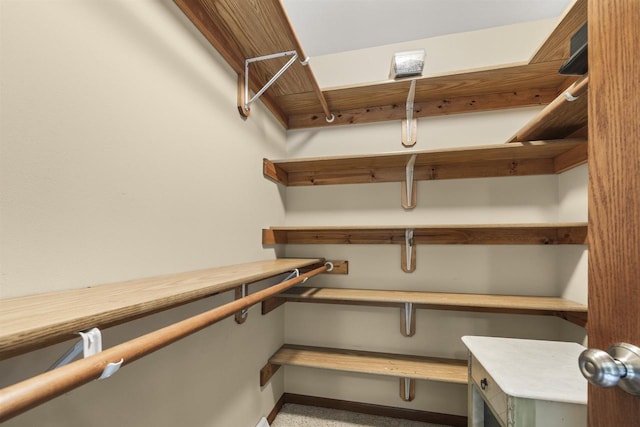 4700 Beaver Dam Rd, Stevens Point, WI 54482 - view of spacious closet