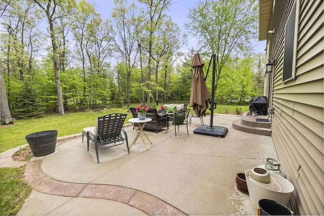 4700 Beaver Dam Rd, Stevens Point, WI 54482 - view of patio / terrace with an outdoor living space and grilling area