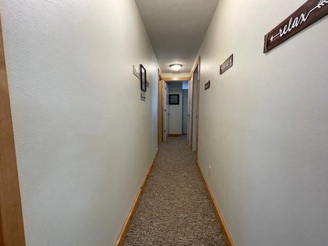 12757 County Highway T, Hayward, WI 54843 - hallway with light carpet and baseboards