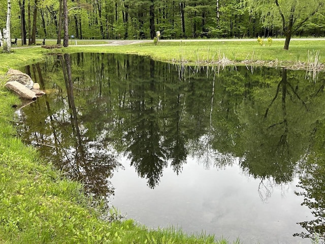 N3615 Badger Ave, Chili, WI 54420 - water view with a heavily wooded area