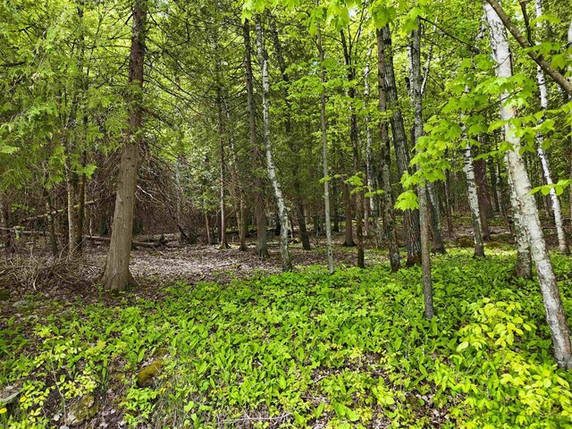 N Duluth Rd, Sturgeon Bay, WI 54235