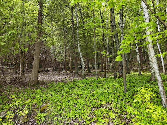 N Duluth Rd, Sturgeon Bay, WI 54235