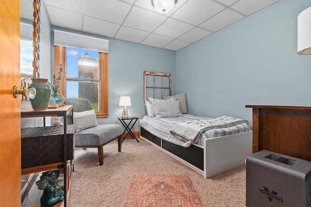 W13491 Reeds Corners Rd, Ripon, WI 54971 - bedroom with carpet and a drop ceiling