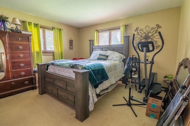 205 W Hickory St, Abbotsford, WI 54405 - bedroom with multiple windows and light carpet