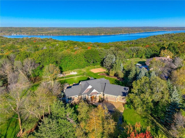 278 Saint Annes Pkwy, Hudson, WI 54016 - bird's eye view of a forest and a nearby body of water