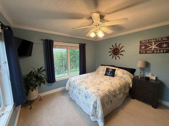 W20841 Brenegan Ln, Galesville, WI 54630