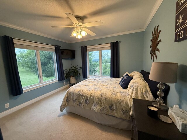 W20841 Brenegan Ln, Galesville, WI 54630