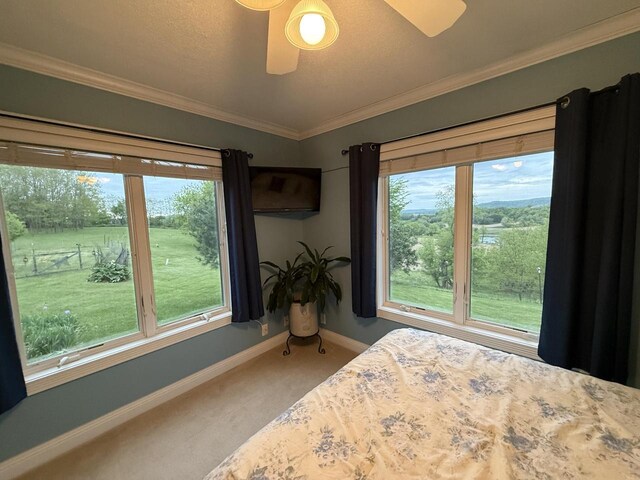 W20841 Brenegan Ln, Galesville, WI 54630