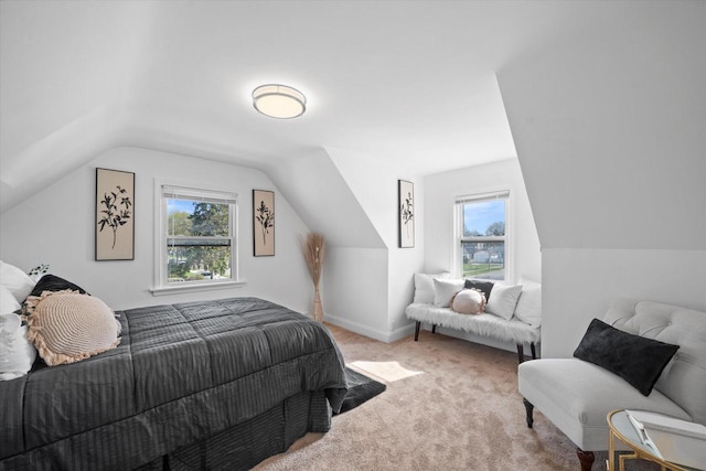 4193 N 19th Pl, Milwaukee, WI 53209 - bedroom featuring multiple windows, carpet floors, and lofted ceiling