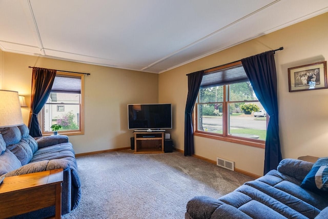 2424 Glendale Ave, La Crosse, WI 54601 - living room featuring carpet floors, plenty of natural light, baseboards, and crown molding