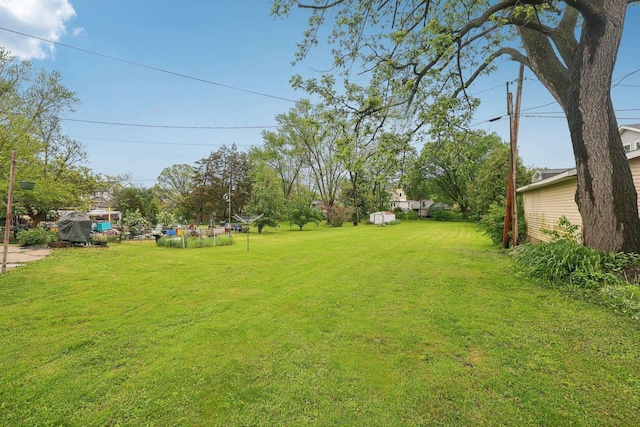 146 S Washington St, Waterloo, WI 53594 - view of grassy yard