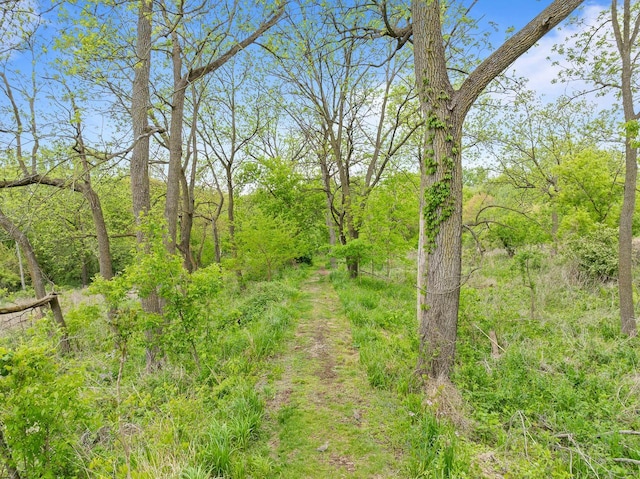 485 Mill St, Fontana, WI 53125 - view of tree filled area