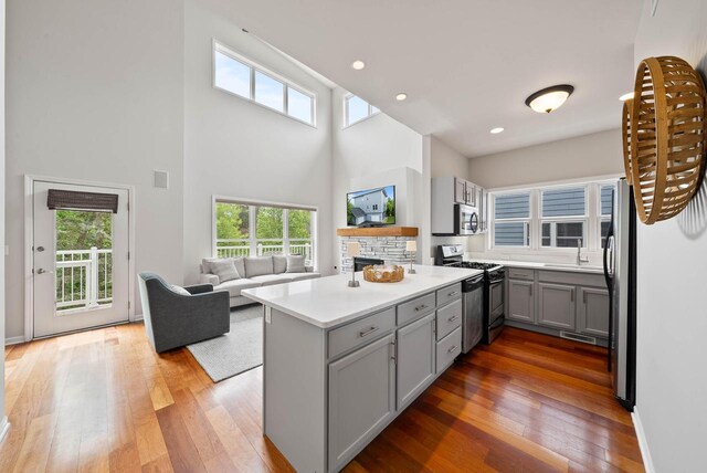 485 Mill St, Fontana, WI 53125 - kitchen with gray cabinets, appliances with stainless steel finishes, a sink, light wood finished floors, and a high ceiling