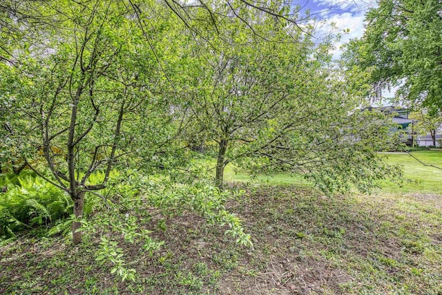 25 E 1st St, Clintonville, WI 54929 - view of undeveloped land