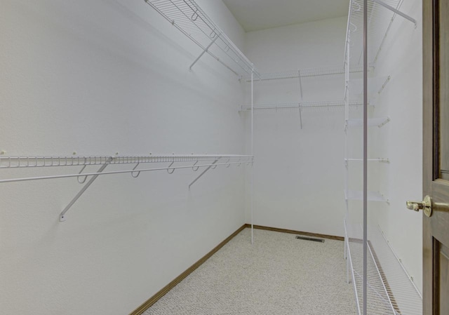 3205 N Mistwood Ln, Appleton, WI 54914 - walk in closet with light colored carpet