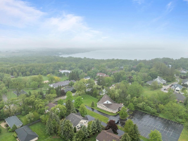 483 W S St Unit A, Lake Geneva, WI 53147 - aerial view of property's location featuring a heavily wooded area and nearby suburban area