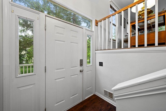 483 W S St Unit A, Lake Geneva, WI 53147 - entryway featuring dark wood finished floors and healthy amount of natural light