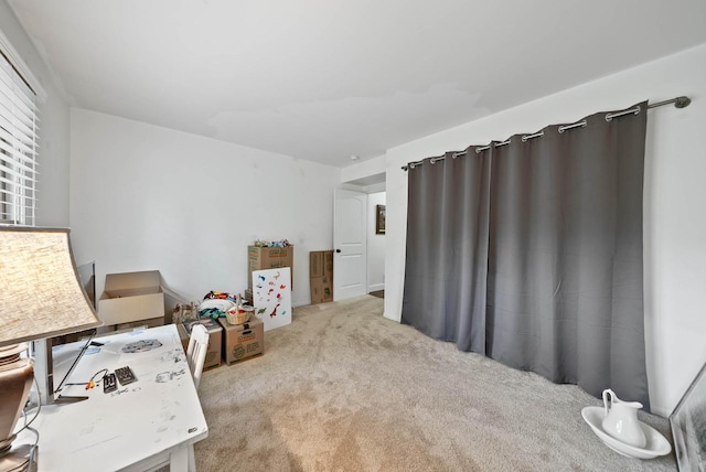 483 W S St Unit A, Lake Geneva, WI 53147 - office area with carpet flooring