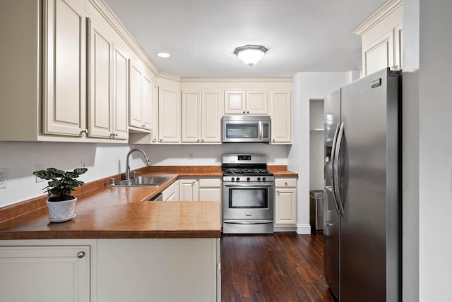 483 W S St Unit A, Lake Geneva, WI 53147 - kitchen with stainless steel appliances, a sink, a peninsula, and dark wood-type flooring