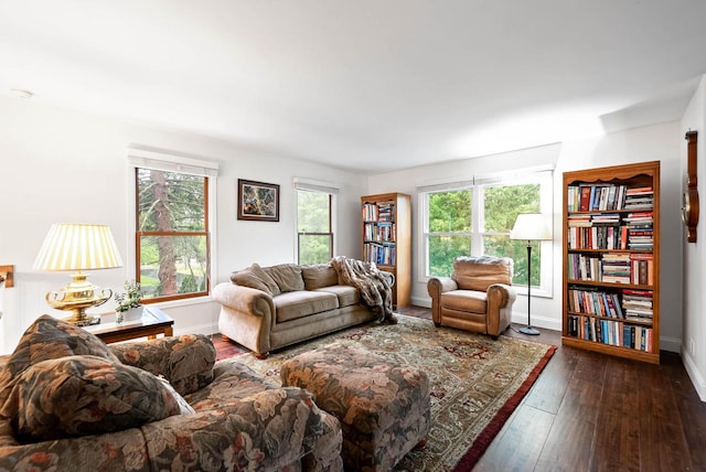 483 W S St Unit A, Lake Geneva, WI 53147 - living area featuring wood-type flooring and baseboards