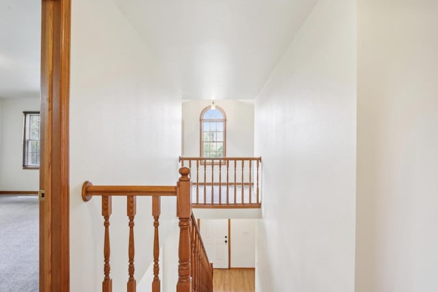 24434 88th St, Salem, WI 53168 - stairs with plenty of natural light, baseboards, and carpet flooring