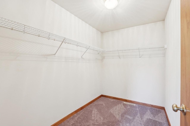 24434 88th St, Salem, WI 53168 - spacious closet with carpet floors