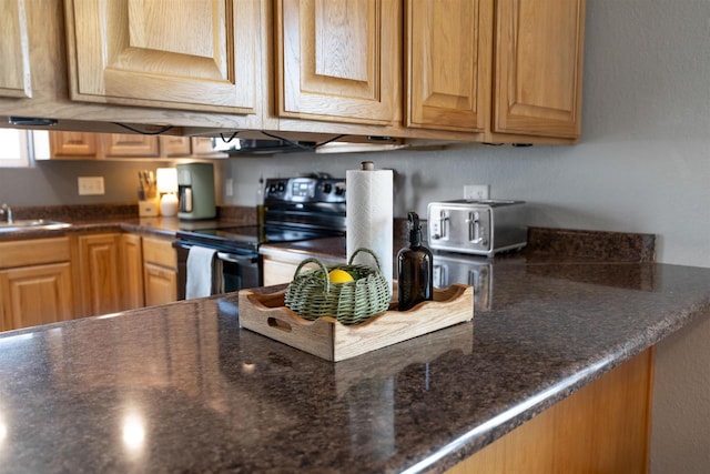 273 5th St, Fond Du Lac, WI 54935 - kitchen with black range with electric stovetop and a sink