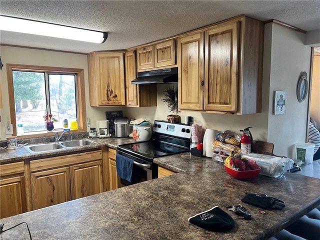 415 S River, Spooner, WI 54801 - kitchen with stainless steel electric range, a sink, under cabinet range hood, a textured ceiling, and dark countertops