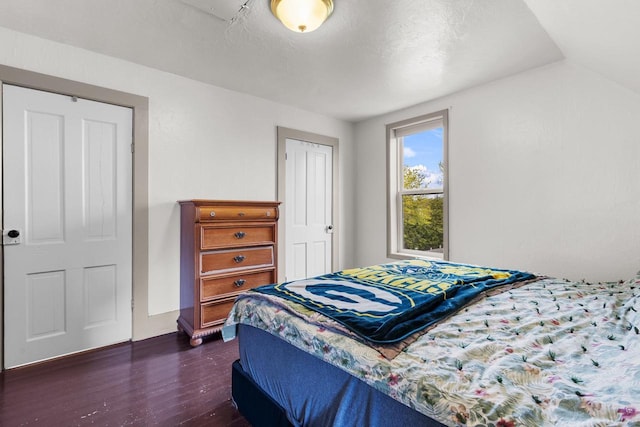 254 Mill St, Algoma, WI 54201 - bedroom with dark wood-style floors, baseboards, and vaulted ceiling