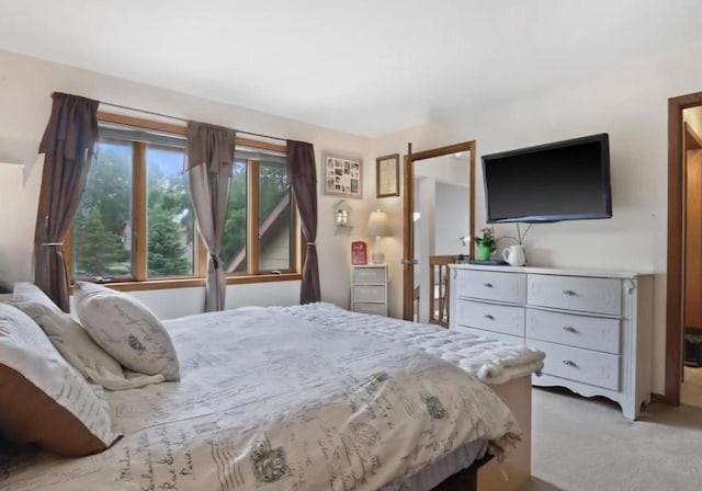 400 Old Indian Trl, Deforest, WI 53532 - view of carpeted bedroom