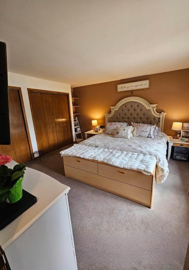 400 Old Indian Trl, Deforest, WI 53532 - bedroom featuring carpet floors and two closets