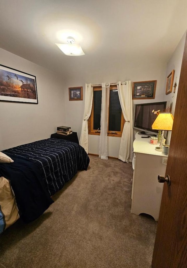 400 Old Indian Trl, Deforest, WI 53532 - view of carpeted bedroom
