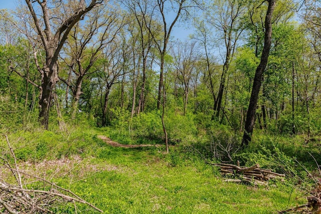 W6641 N Lakeshore Dr, Elkhorn, WI 53121 - view of wooded area
