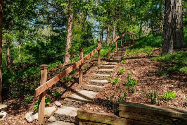 W6641 N Lakeshore Dr, Elkhorn, WI 53121 - view of yard with stairs
