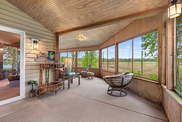 N5101 Lueck Ln, Princeton, WI 54968 - sunroom featuring vaulted ceiling and healthy amount of natural light