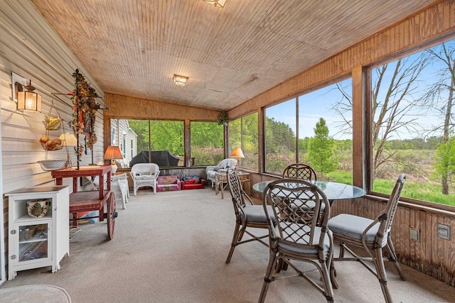 N5101 Lueck Ln, Princeton, WI 54968 - sunroom / solarium featuring an outdoor hangout area and lofted ceiling