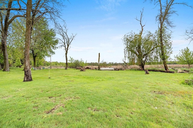 N5101 Lueck Ln, Princeton, WI 54968 - view of green lawn