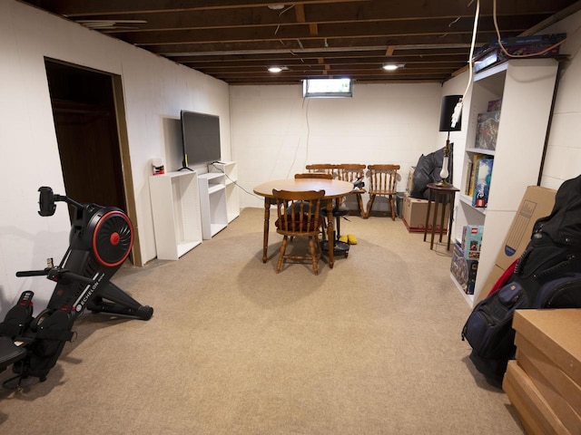 2019 N Mcdonald St, Appleton, WI 54911 - playroom with carpet floors
