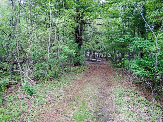 1856 Careful Ln, Little Suamico, WI 54141