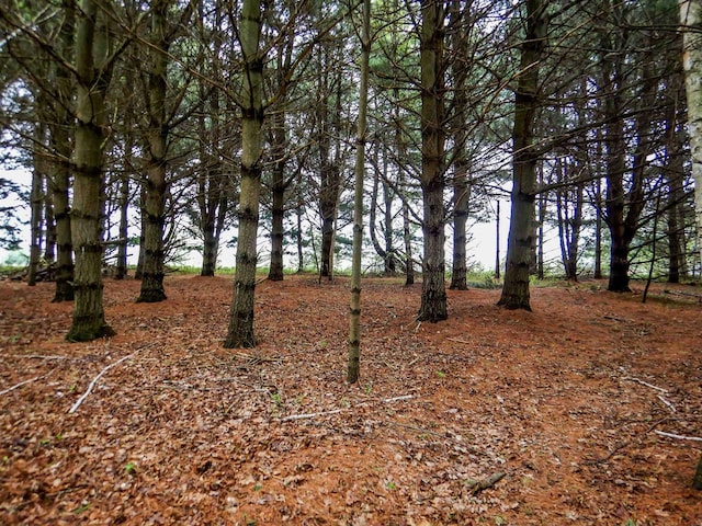 1856 Careful Ln, Little Suamico, WI 54141
