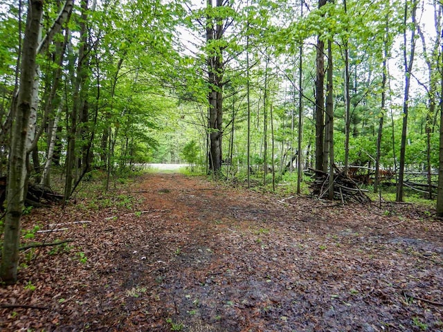 1856 Careful Ln, Little Suamico, WI 54141