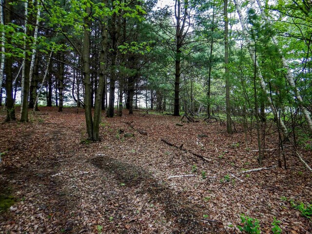 1856 Careful Ln, Little Suamico, WI 54141