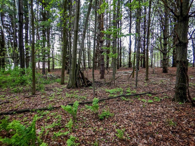 1856 Careful Ln, Little Suamico, WI 54141