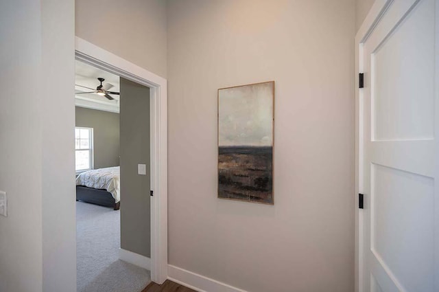 W214N6684 Fairview Dr, Menomonee Falls, WI 53051 - hallway with baseboards and carpet