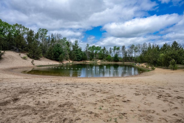 N8378 Timber Trl, New Lisbon, WI 53950 - water view
