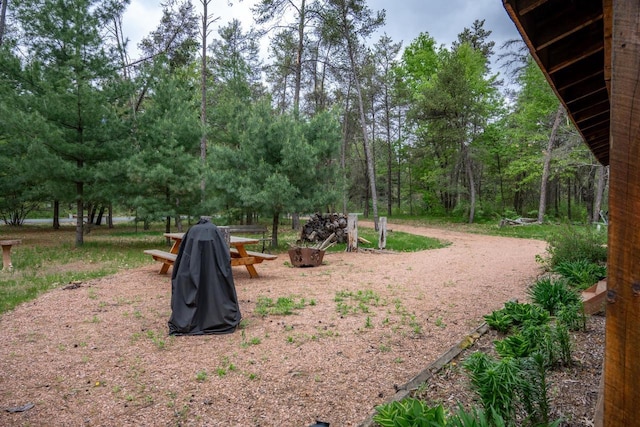 N8378 Timber Trl, New Lisbon, WI 53950 - view of yard