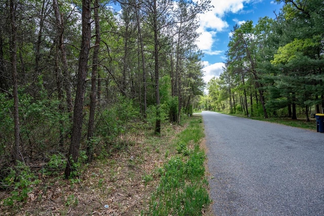 N8378 Timber Trl, New Lisbon, WI 53950 - view of asphalt street with a forest view